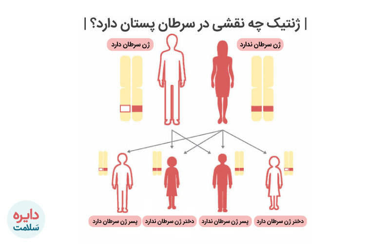ژنتیک در سرطان پستان